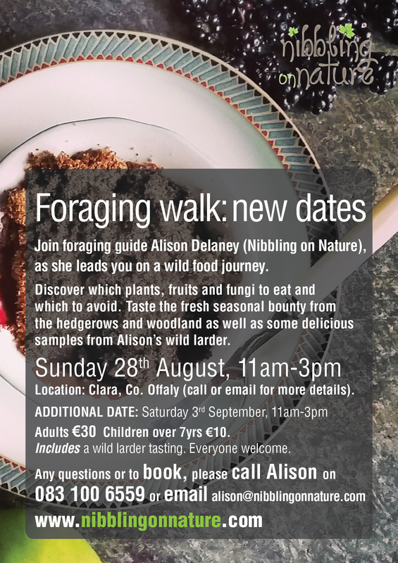 foraging walk clara ireland 2nd July 2016